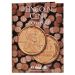 Lincoln Cent Folder Starting 1909-1940 - Book 1